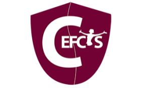 cerfys logo